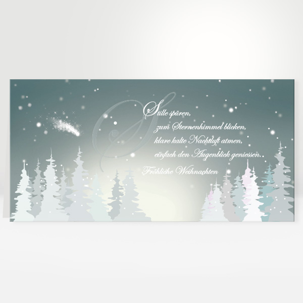 Moderne Stimmungsvolle Weihnachtskarte In Schonen Pastell Gruntonen Mit Gedicht Stille Spuren Kollektion5 In Warburg 49 5641 748335
